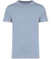NS305 Native Spirit Unisex Heavyweight T Shirt Aquamarine colour image